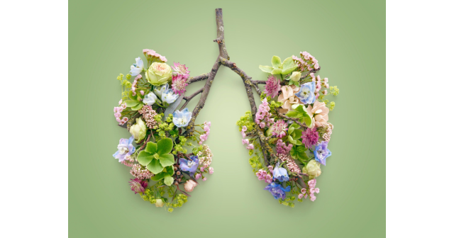 Tree branch with flowers in the shape of a pair of lungs
