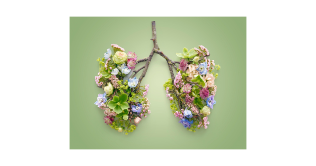 tree branch in the shape of lungs with flowers