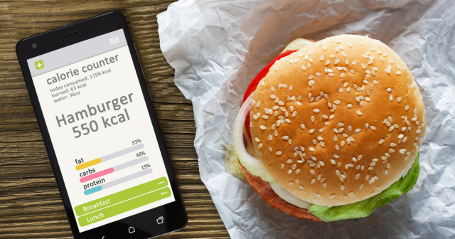 hamburger 550 calories on phone app