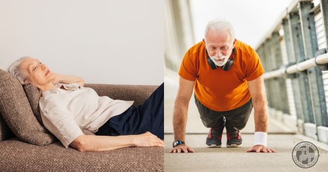 Inactive older adult compared with an active adult over 50 performing exercise to help prevent age-related muscle loss.