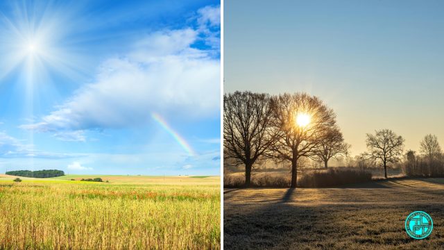 Side-by-side comparison of bright summer sunshine over green fields and low winter sunlight through bare trees, illustrating seasonal differences in UVB exposure and vitamin D production in the UK.