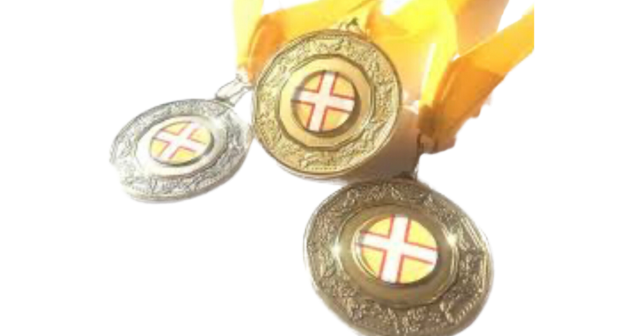 Dorset Indoor Rowing Champs medals