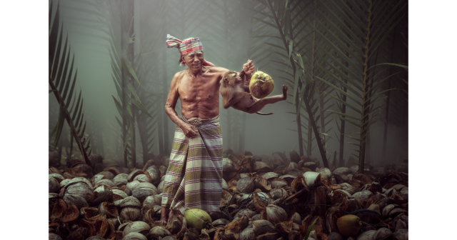 tribal man with pole and monkey on pole