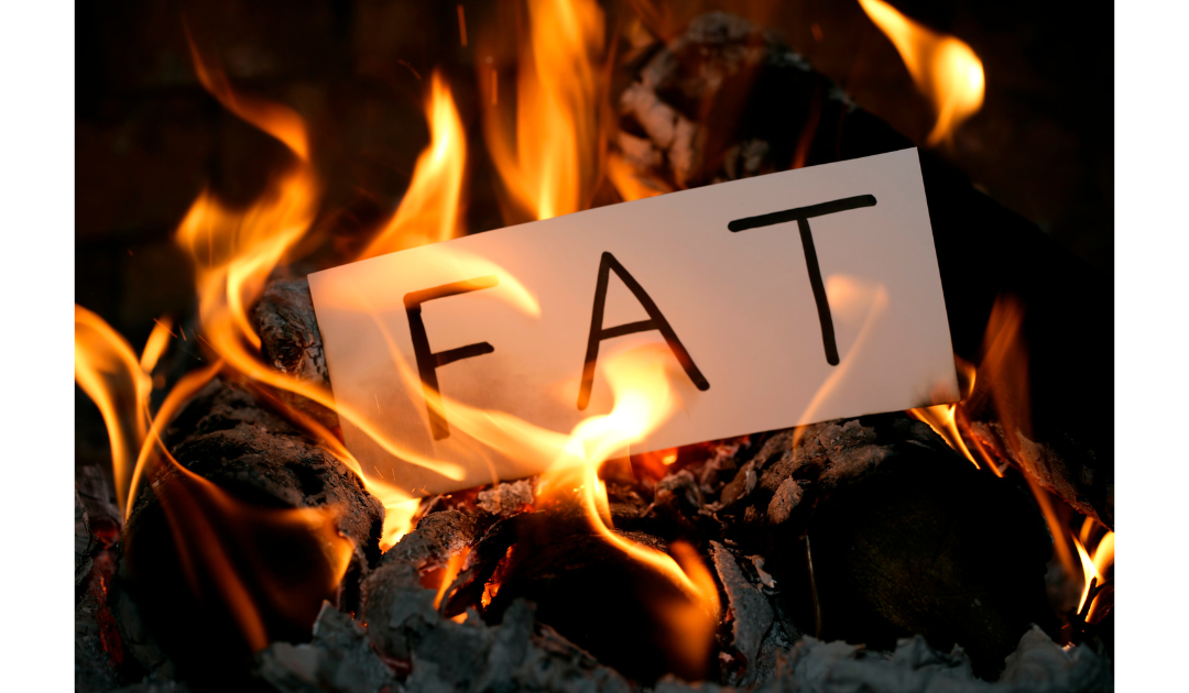 Your Relationship With Fat